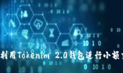 如何利用Tokenim 2.0钱包进行小额交易？
