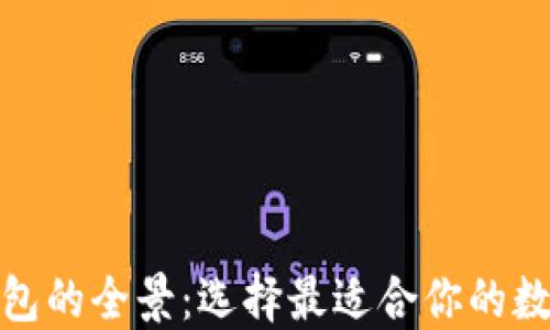 
探索以太坊钱包的全景：选择最适合你的数字资产护航者