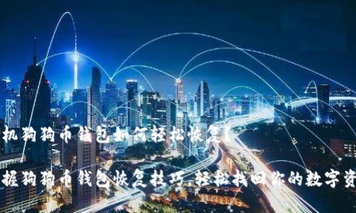 手机狗狗币钱包如何轻松恢复？

掌握狗狗币钱包恢复技巧，轻松找回你的数字资产