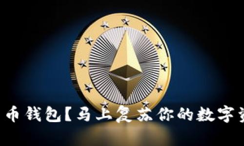 丢失比特币钱包？马上复苏你的数字资产之路！