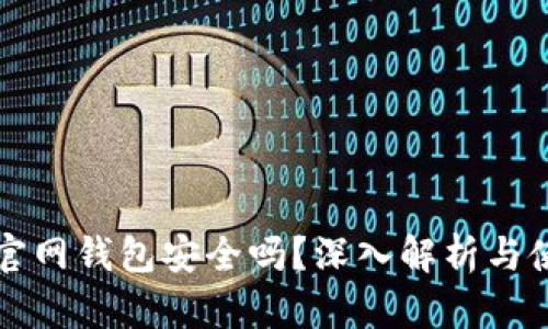 比特币官网钱包安全吗？深入解析与使用指南