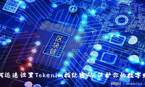 如何迅速设置Tokenim指纹密码，保护你的数字财富
