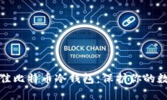 选择最佳比特币冷钱包：保护你的数字财富