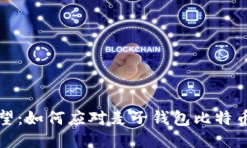 从失落到希望：如何应对麦子钱包比特币遭遇的挑战