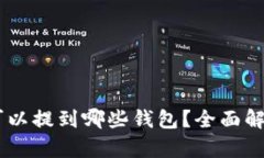 SHIB币可以提到哪些钱包？全面解析与指南