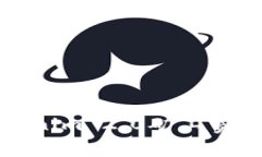 如何应对Tokenim 2.0矿工费用过高的问题