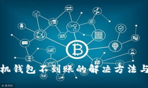 狗狗币手机钱包不到账的解决方法与注意事项