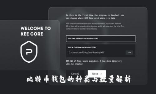 比特币钱包的种类与数量解析