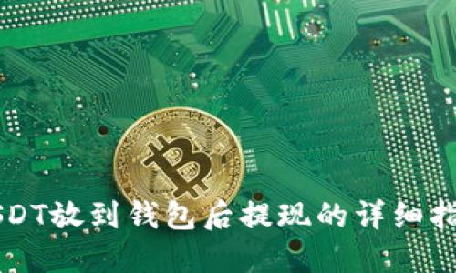 USDT放到钱包后提现的详细指南