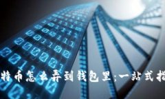 比特币怎么弄到钱包里：一站式指南