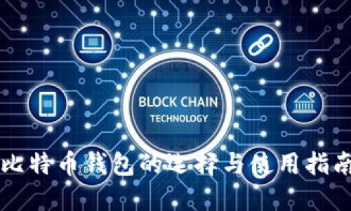 比特币钱包的选择与使用指南