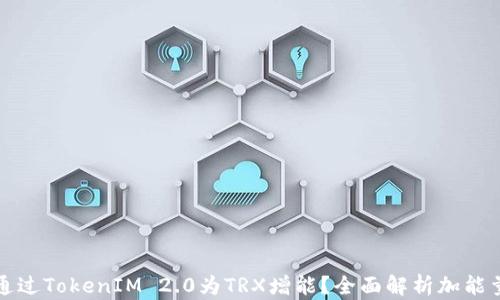 
如何通过TokenIM 2.0为TRX增能？全面解析加能量方法