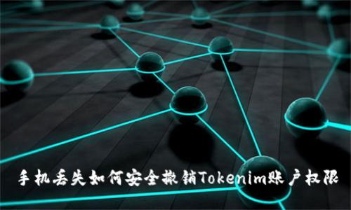 手机丢失如何安全撤销Tokenim账户权限