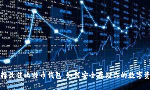 选择最佳比特币钱包：如何安全存储你的数字资产