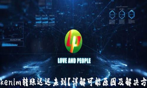 
Tokenim转账迟迟未到？详解可能原因及解决方案