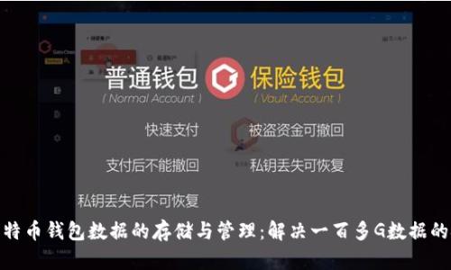 : 比特币钱包数据的存储与管理:解决一百多G数据的挑战