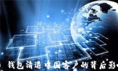 Tokenim 2.0 钱包清退中国客户的背后影响与前景分